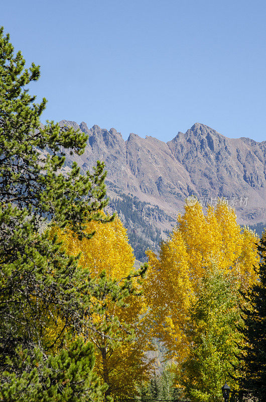 Vail Pass和Vail山在Vail，科罗拉多州与金杨在前景